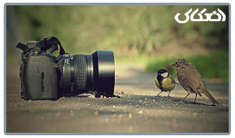 عکاسی حرفه ای